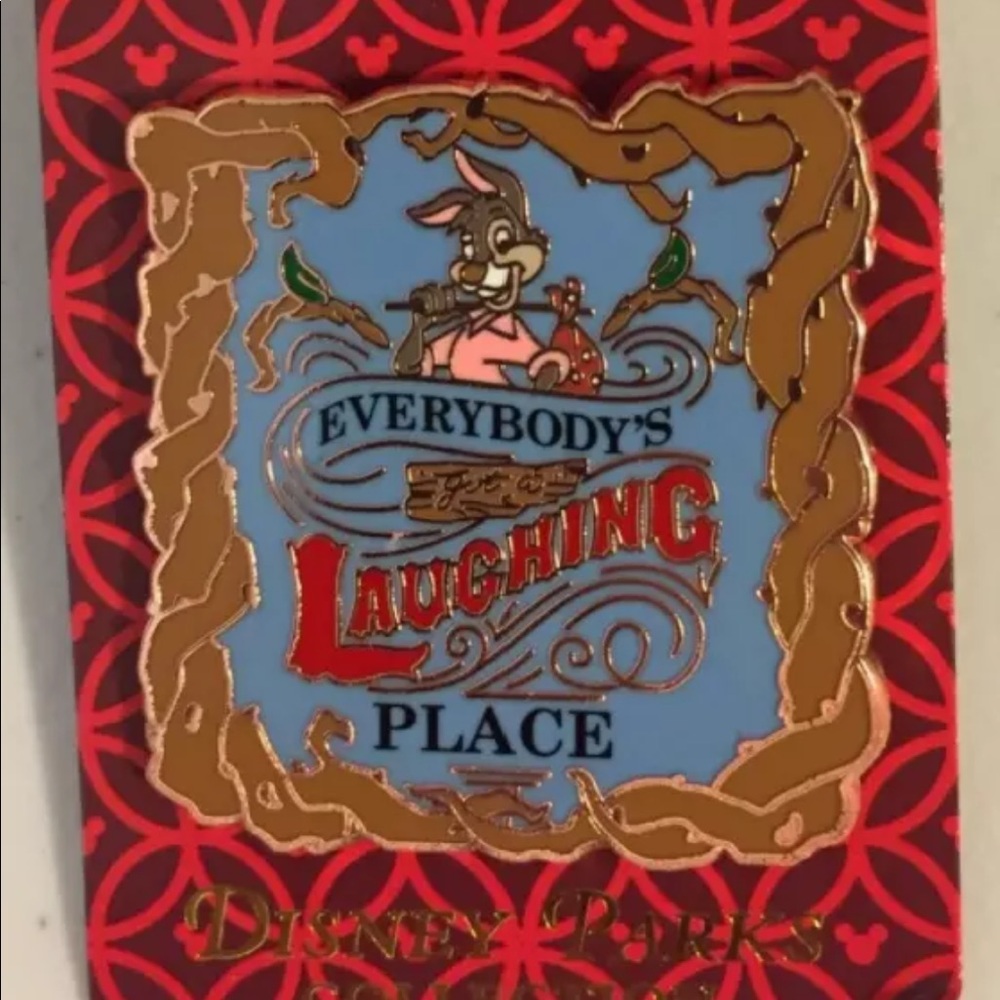 Disney splash mountain pin